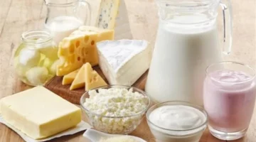 أسعار الألبان ومشتقاتها ثابتة في الغربية الخميس 11 ديسمبر 2025